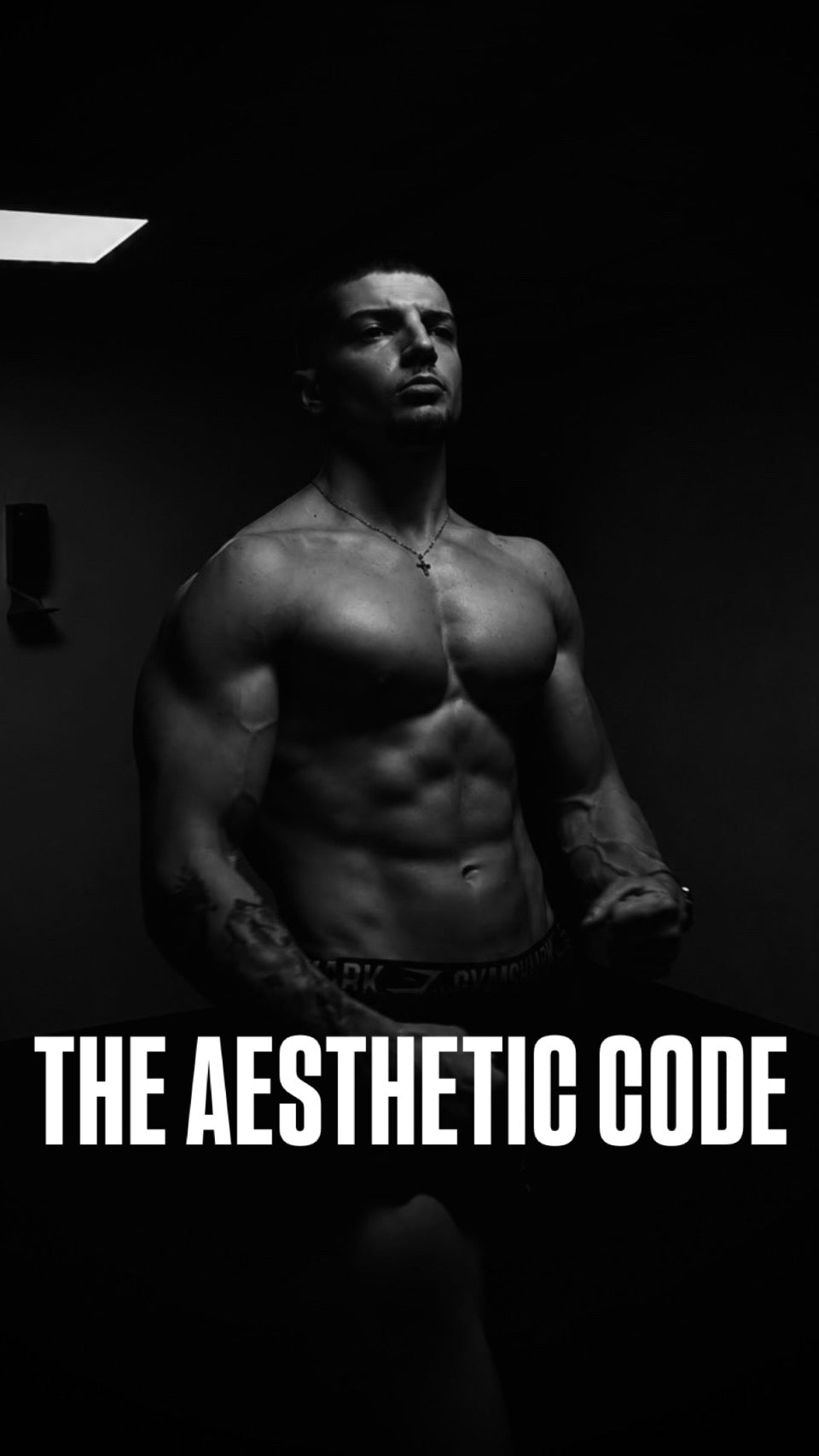THE AESTHETIC CODE